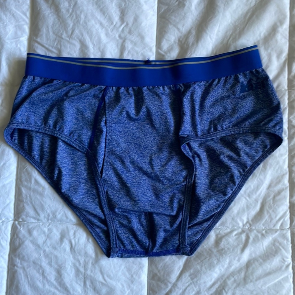 REI briefs